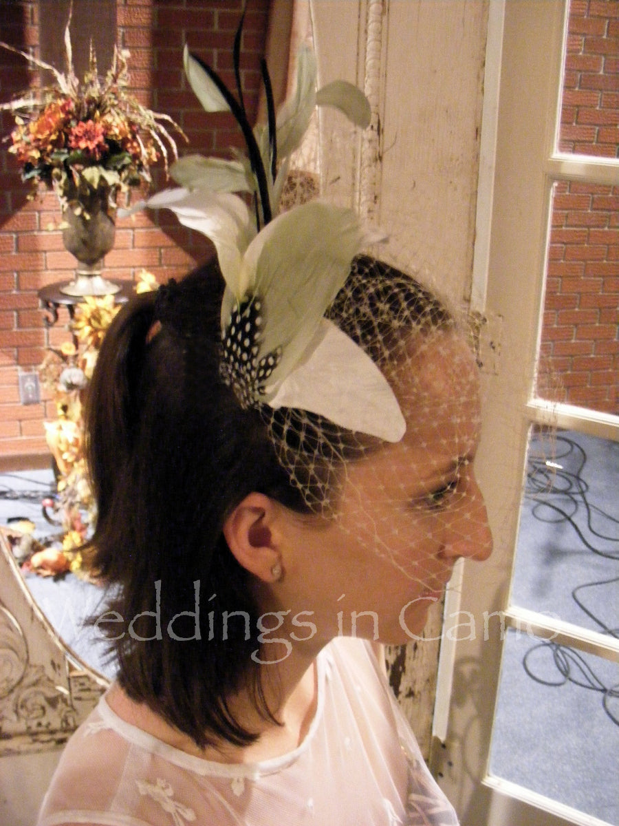 wedding comb with birdcage veiling and feathers